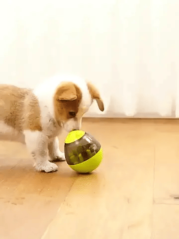 Juguete Interactivo Dispensador de Comida para Perros Antiestrés Ajustable