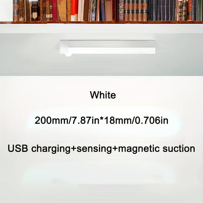 Luz LED de Gabinete con Sensor de Movimiento – Tema Fantasía, Recargable USB